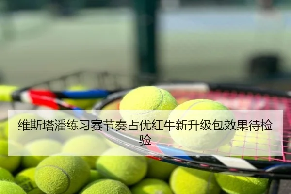 维斯塔潘练习赛节奏占优红牛新升级包效果待检验